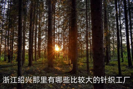 紹興縣興旺印花有限公司