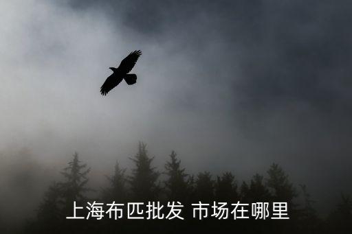  上海布匹批發(fā) 市場在哪里