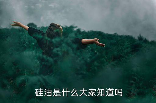  硅油是什么大家知道嗎