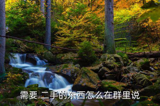 需要 二手的東西怎么在群里說