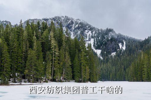西安紡織集團普工干啥的