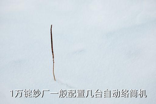 1萬(wàn)錠紗廠一般配置幾臺(tái)自動(dòng)絡(luò)筒機(jī)