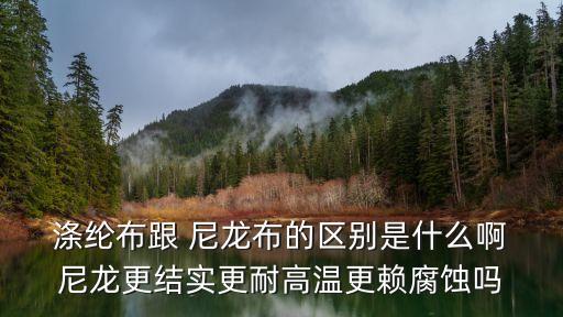  滌綸布跟 尼龍布的區(qū)別是什么啊 尼龍更結(jié)實(shí)更耐高溫更賴腐蝕嗎