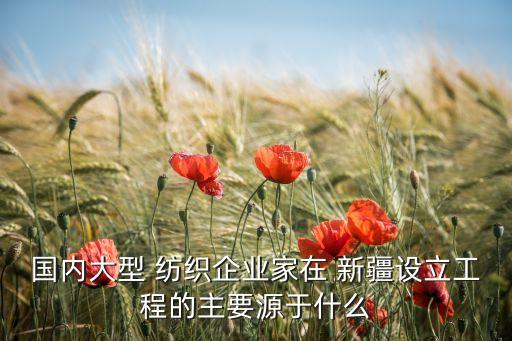 國內(nèi)大型 紡織企業(yè)家在 新疆設(shè)立工程的主要源于什么