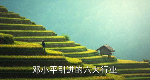 鄧小平引進(jìn)的六大行業(yè)