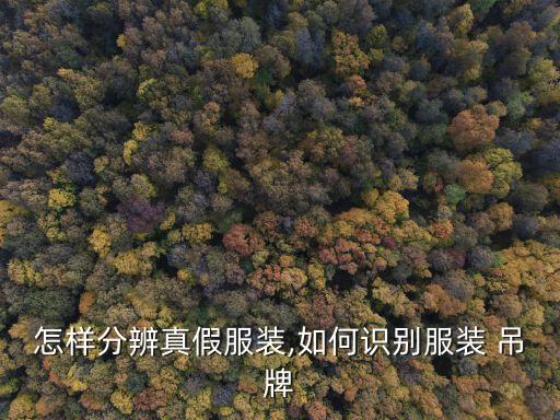 怎樣分辨真假服裝,如何識別服裝 吊牌