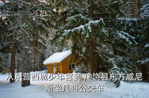 從東營(yíng)西城少年宮到 廣饒縣東方威尼斯坐幾路公交車