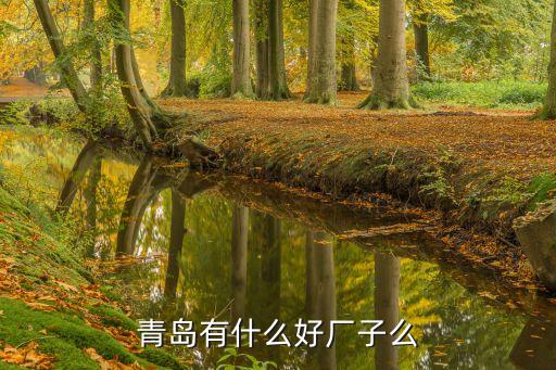 青島有什么好廠子么