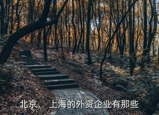 北京、 上海的外資企業(yè)有那些