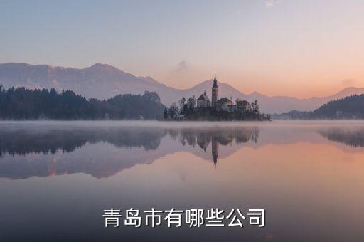 青島紅旗紡織電機(jī),青島天一紅旗電機(jī)怎么樣