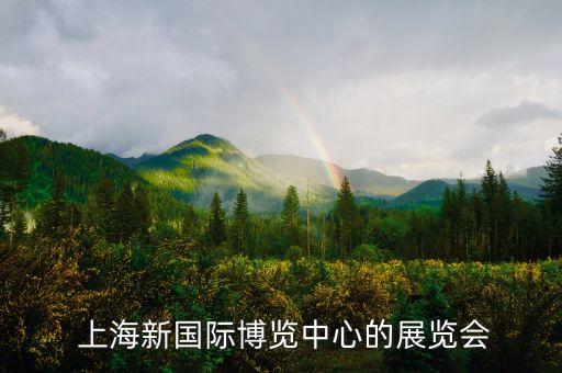  上海新國際博覽中心的展覽會(huì)