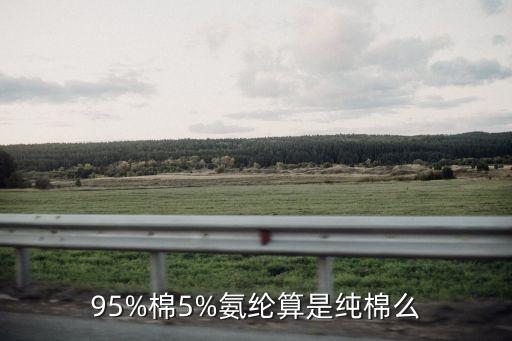 95%棉5%氨綸算是純棉么