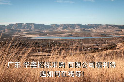 廣東 華鑫招標(biāo)采購(gòu) 有限公司福利待遇如何在線等!