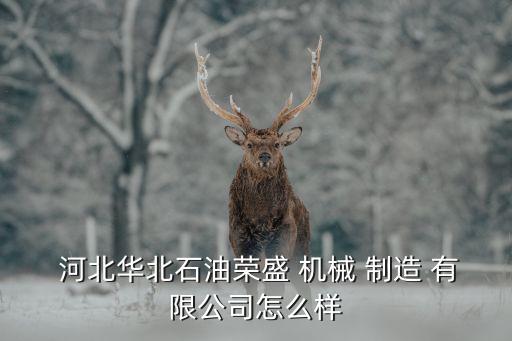  河北華北石油榮盛 機械 制造 有限公司怎么樣