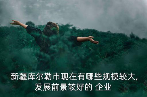  新疆庫爾勒市現(xiàn)在有哪些規(guī)模較大,發(fā)展前景較好的 企業(yè)