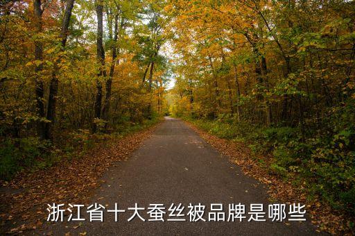 浙江省十大蠶絲被品牌是哪些