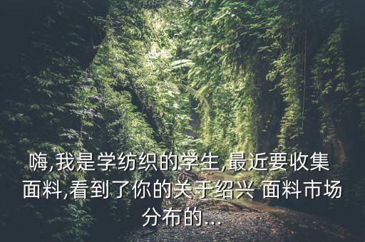 面料設(shè)計(jì)大賽,面料再造設(shè)計(jì)