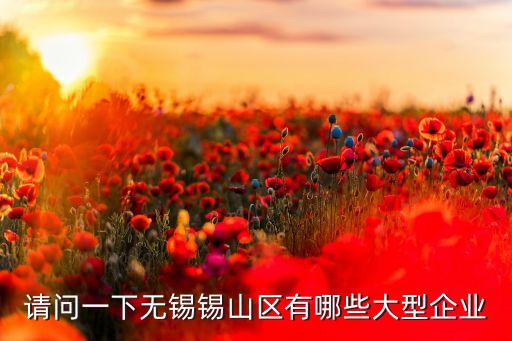 請問一下無錫錫山區(qū)有哪些大型企業(yè)