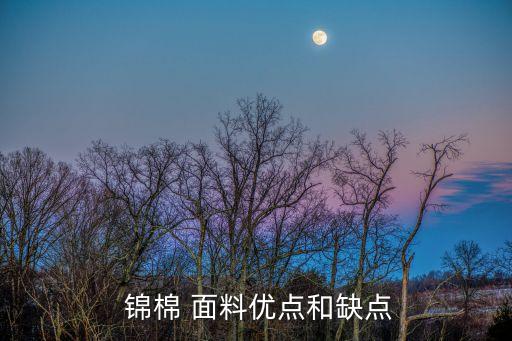  錦棉 面料優(yōu)點和缺點