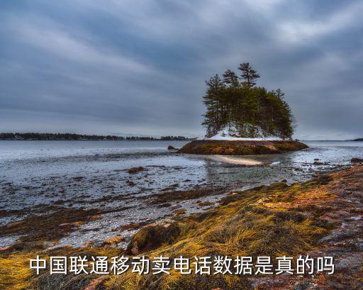 中國聯(lián)通移動賣電話數據是真的嗎