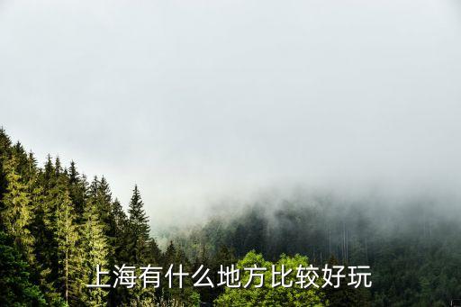 上海有什么地方比較好玩