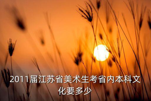2011屆江蘇省美術(shù)生考省內(nèi)本科文化要多少