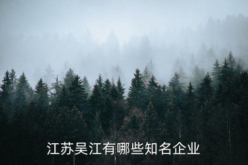 江蘇吳江有哪些知名企業(yè)