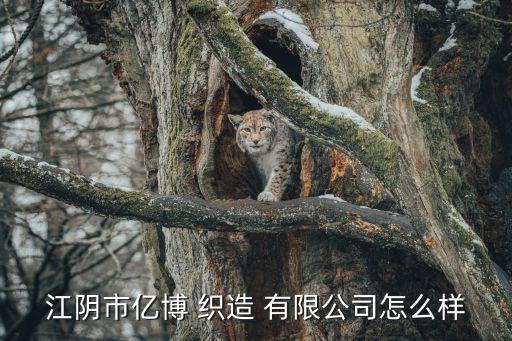 江陰市億博 織造 有限公司怎么樣