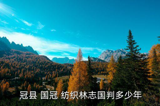  冠縣 國(guó)冠 紡織林志國(guó)判多少年