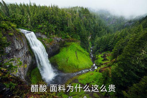 醋酸 面料為什么這么貴