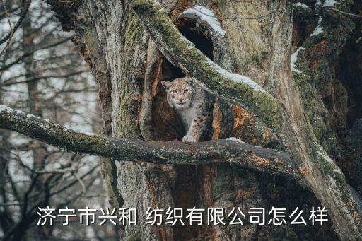  濟(jì)寧市興和 紡織有限公司怎么樣