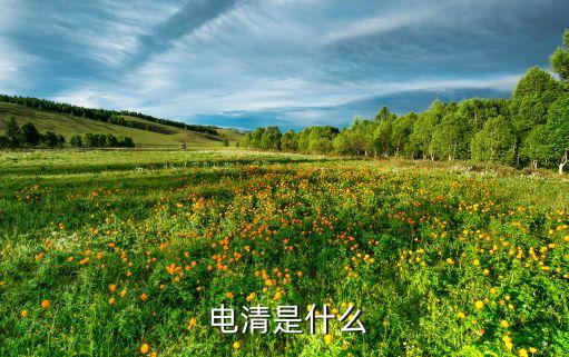  電清是什么