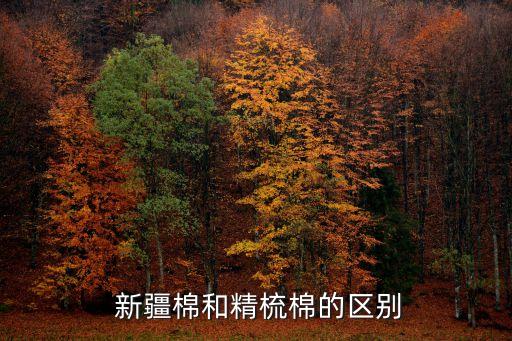  新疆棉和精梳棉的區(qū)別