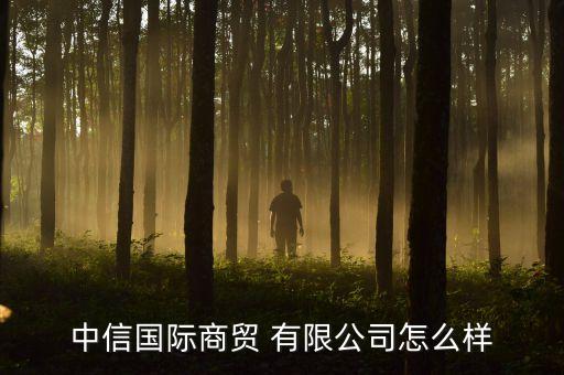 中信國際商貿(mào) 有限公司怎么樣