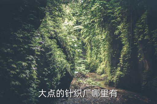大點(diǎn)的針織廠哪里有