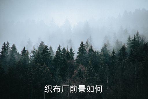 織布廠前景如何