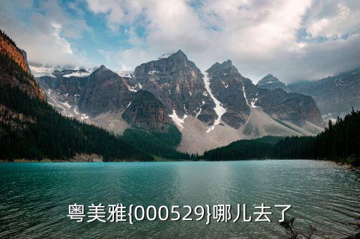 粵美雅{000529}哪兒去了
