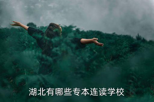 湖北有哪些專本連讀學校