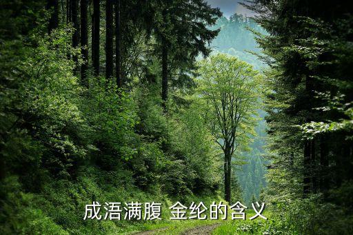 成浯滿腹 金綸的含義