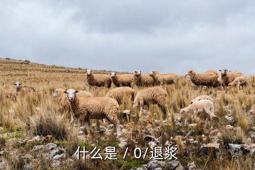 什么是 / 0/退漿