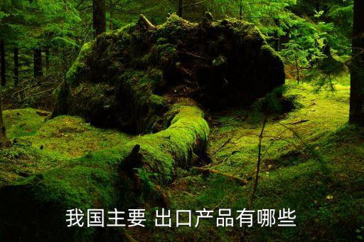 中國紡織品主要出口