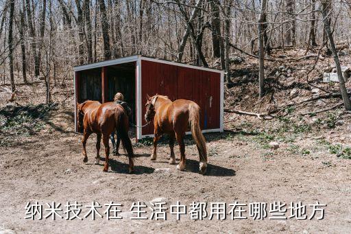 納米技術(shù)在 生活中都用在哪些地方