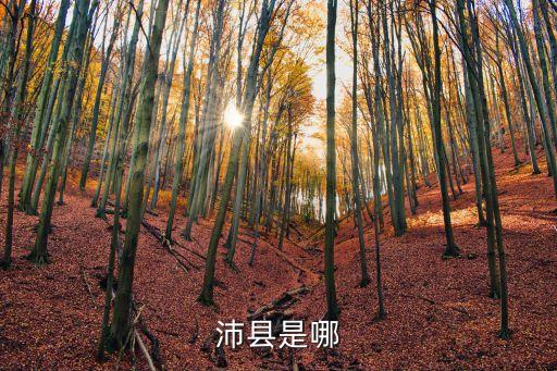 沛縣是哪