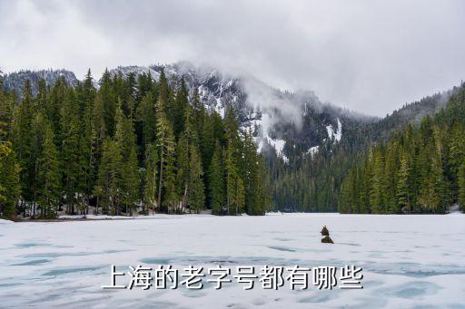 上海的老字號(hào)都有哪些