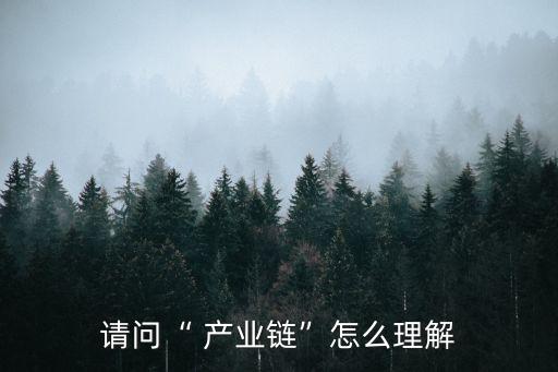 請(qǐng)問(wèn)“ 產(chǎn)業(yè)鏈”怎么理解