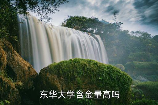  東華大學(xué)含金量高嗎