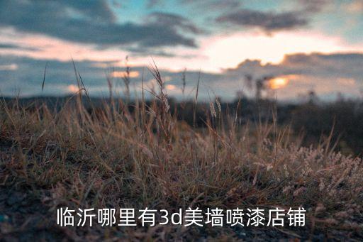 臨沂哪里有3d美墻噴漆店鋪