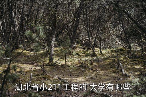 武漢紡織大學(xué)圖書館網(wǎng)