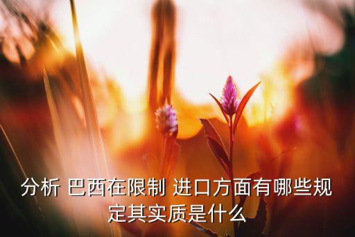 分析 巴西在限制 進(jìn)口方面有哪些規(guī)定其實(shí)質(zhì)是什么