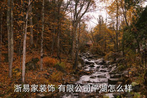 浙易家裝飾 有限公司平湖怎么樣
